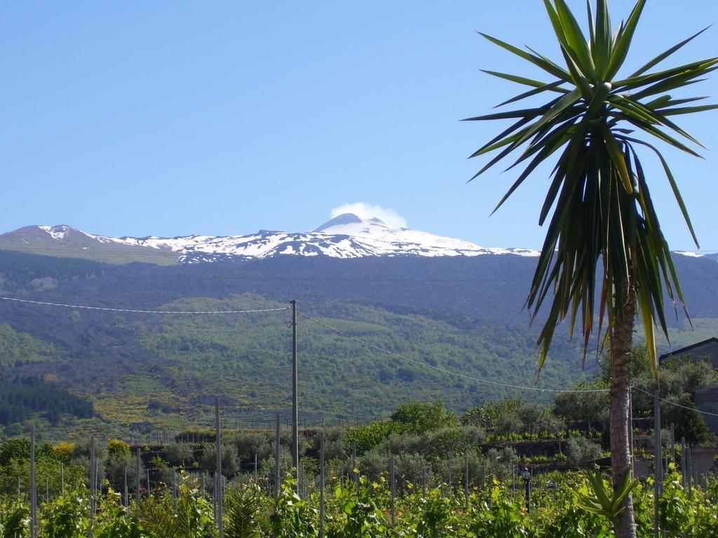 Etna Wine Azienda Agrituristica Villa Passopisciaro Exterior photo